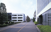 日本地域営業